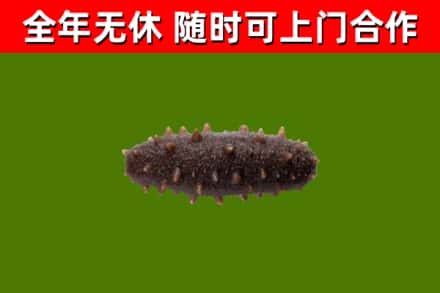 平凉烟酒回收干海参.jpg